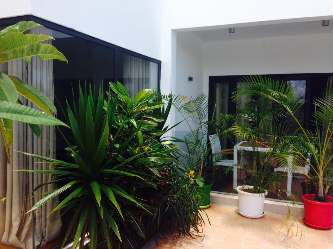 Pingo Premium Apartment La Gaulette Bilik gambar